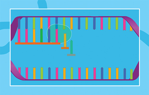 من الـ Dna إلى الزلال