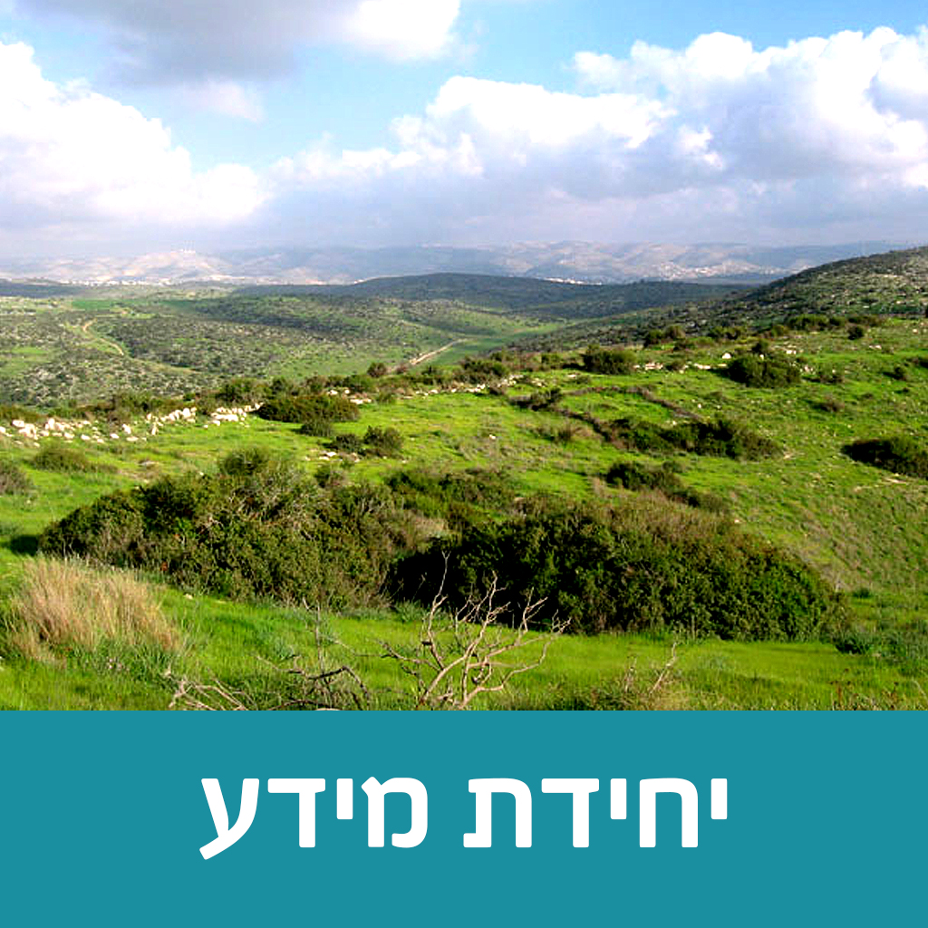 השפלה
