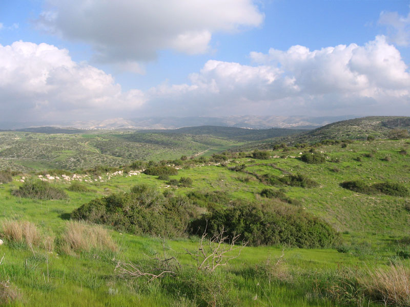 השפלה